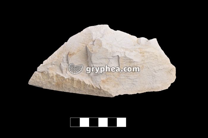 Dolomie - échantillon - gryphea.org